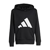 adidas Unisex niños Essentials Big Logo Hoodie Sweatshirt, Black/White, 15-16 Years