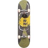 Toy Machine Frequency Mod 8.25'' compleet skateboard