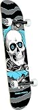 Powell Peralta Factory - Patineta completa Ripper One Off plateado/azul claro, 19,7 cm