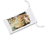 MERCHANDMANIA 1 Funda Bolsa Multiusos Cuadro el Nacimiento de Venus Sandro Botticelli Pintor Gafas Dados rol Personalizada Color