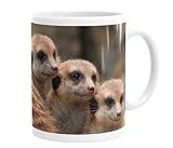 Merchandise for Fans Tasse