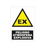 S21 Señalización ADR2407.G Señal peligro atmosfera explosiva, Multicolor