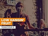 Low Hangin' Fruit al estilo de Tenacious D