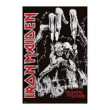 Grupo Erik Poster Iron Maiden Number of the beast - Laminas decorativas 61x91,5cm a todo color | Posters para pared ideal decoración habitación